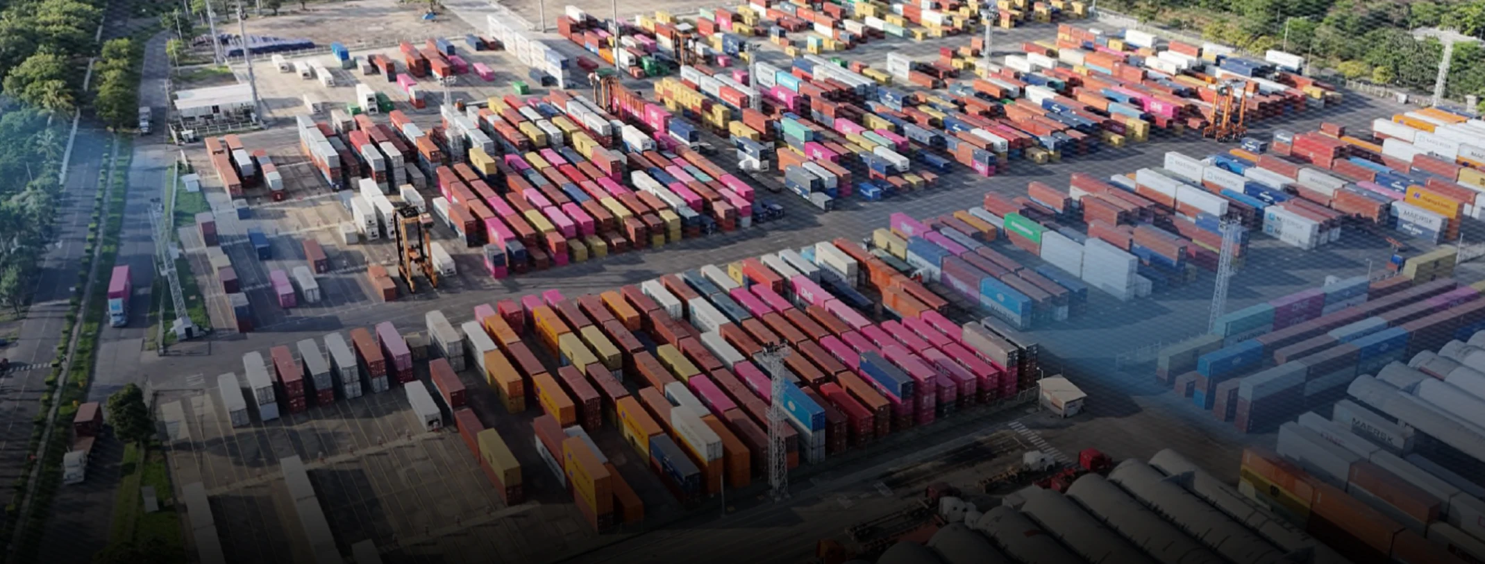 Agente Representante