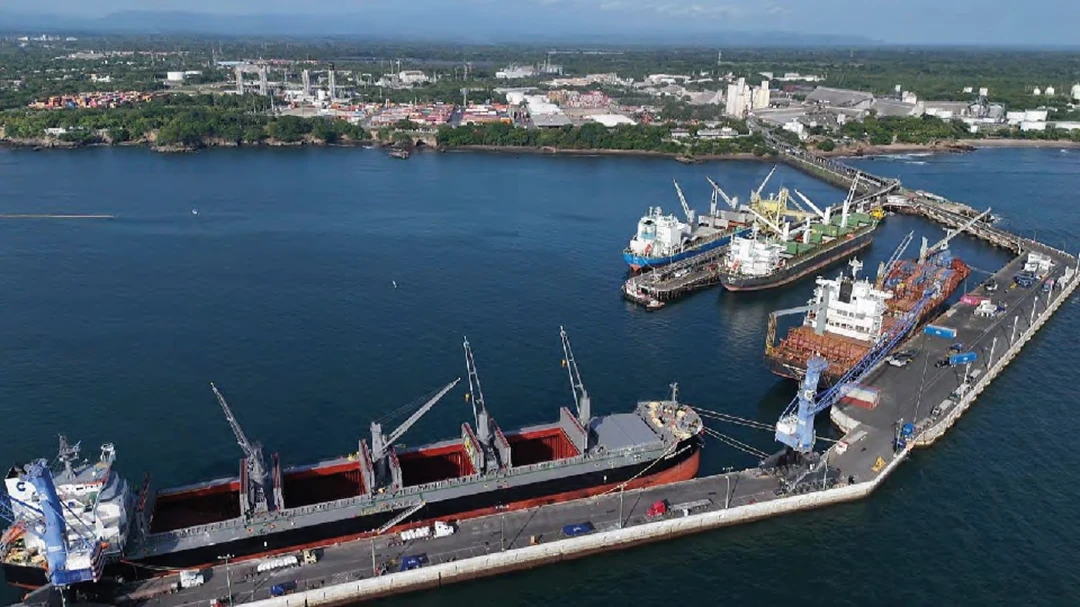 Inicio Agente representante